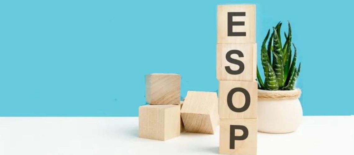 esop program valuation services in india